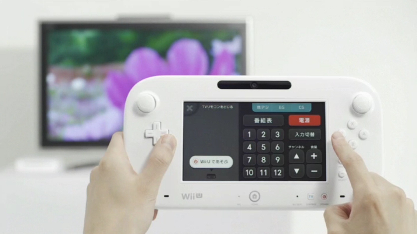 Wii-U-GamePad-wiiu_pro_8